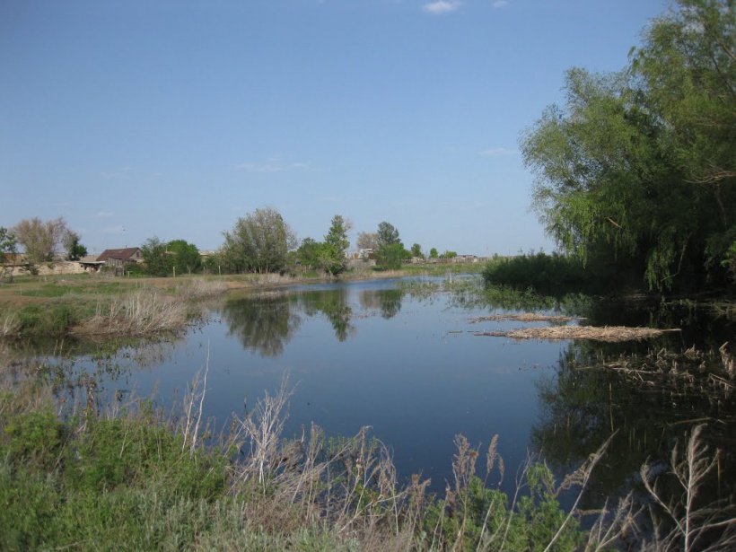 Пруд в селе Чкалово