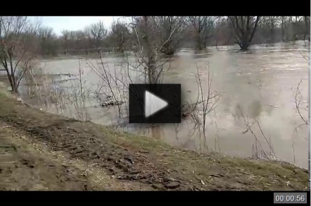 Наводнение с.Умёт Камышинский р-н *video=jHqun1BBkiw
