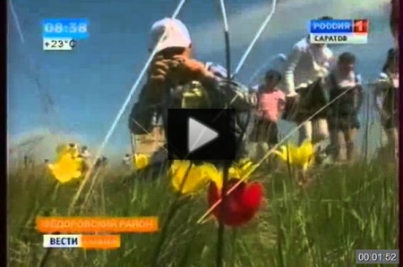 Тюльпаны в Федоровском районе *video=X3DiK0HsBV0