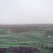 Вид на место, где была колония Иост (Поповкина)